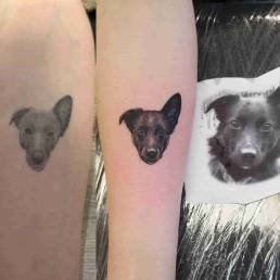 Schweinfurt Tattoo Cover Up