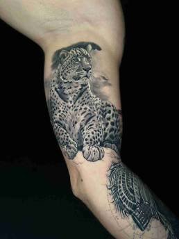 Heartbeat Schweinfurt, Schweinfurt Tattoo, Tattoo Schweinfurt, Schweinfurt Tätowierer, Tattoo stechen lassen Schweinfurt, bestes Tattoo Studio Schweinfurt, Tattoo Termine Schweinfurt, Best Tattoo Artists Schweinfurt, Mandala Tattoo Schweinfurt, Black & Grey Tattoo Schweinfurt, Beste Tattoo Studios in Schweinfurt,