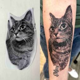 Heartbeat Schweinfurt, Schweinfurt Tattoo, Tattoo Schweinfurt, Schweinfurt Tätowierer, Tattoo stechen lassen Schweinfurt, bestes Tattoo Studio Schweinfurt, Tattoo Termine Schweinfurt, Best Tattoo Artists Schweinfurt, Mandala Tattoo Schweinfurt, Black & Grey Tattoo Schweinfurt, Beste Tattoo Studios in Schweinfurt,